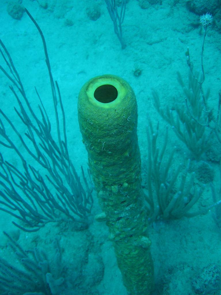 2008-05-12 16-54-44.jpg